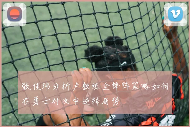 张佳玮分析卢教练全锋阵策略如何在勇士对决中逆转局势